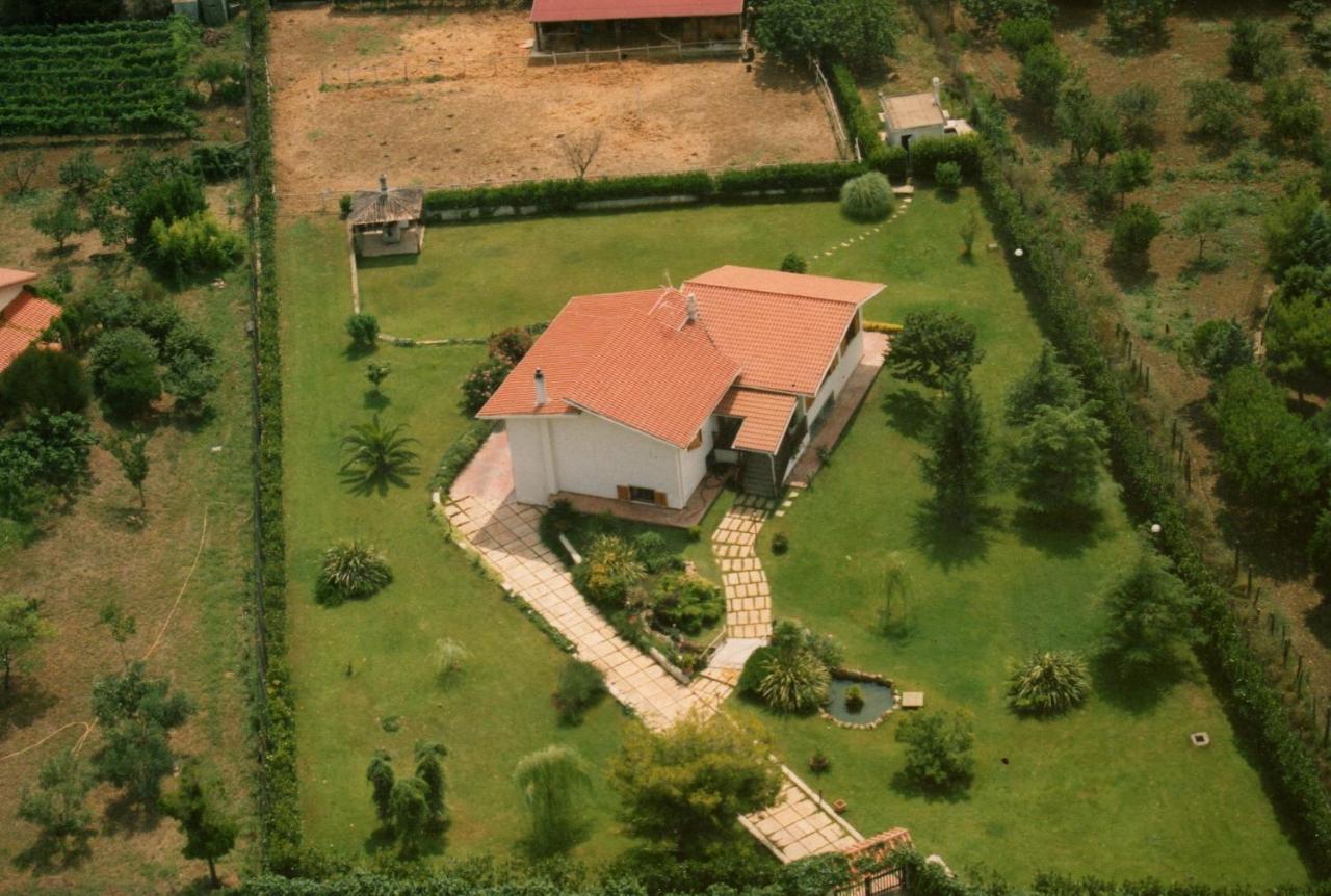 צ'יוויטווקיה B&B Villa Sans Souci מראה חיצוני תמונה