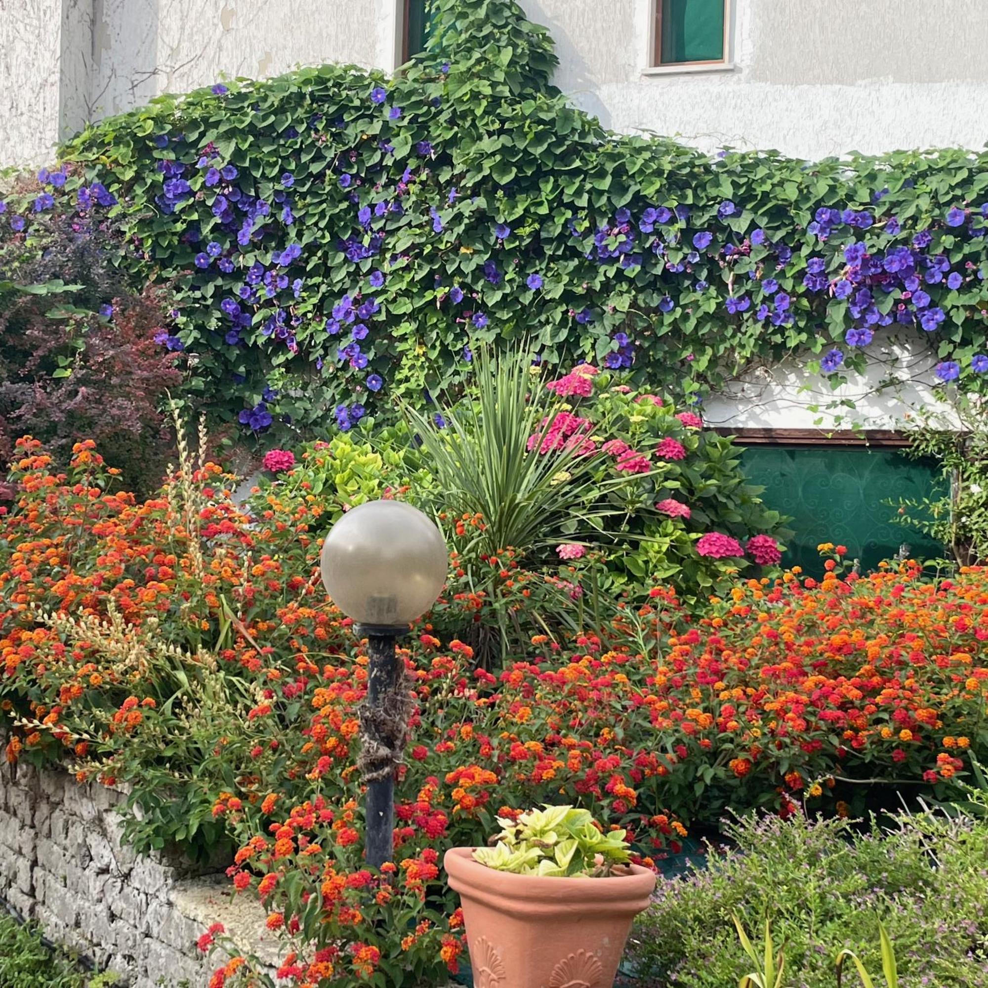 צ'יוויטווקיה B&B Villa Sans Souci מראה חיצוני תמונה