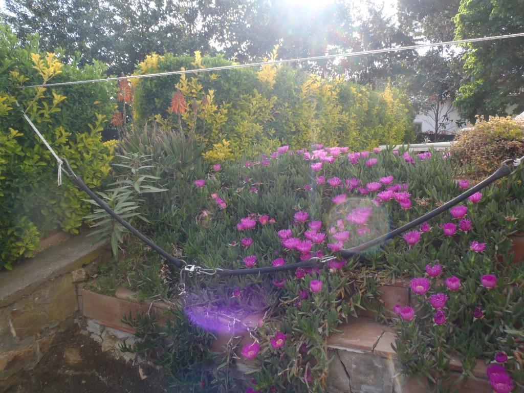 צ'יוויטווקיה B&B Villa Sans Souci מראה חיצוני תמונה