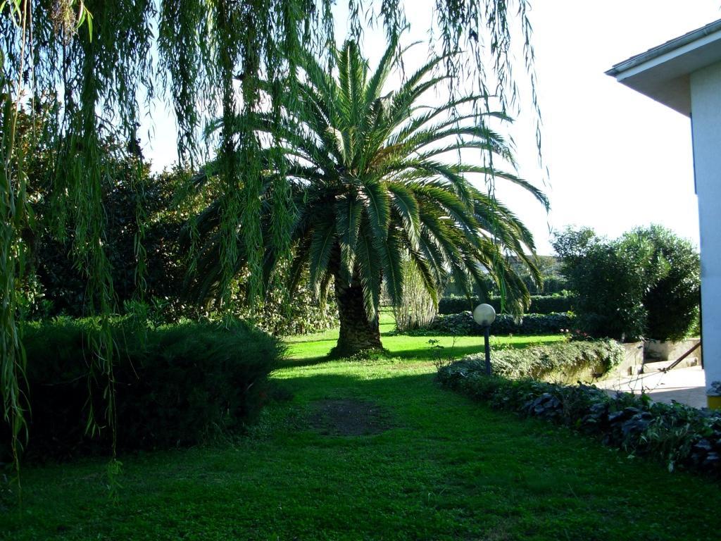 צ'יוויטווקיה B&B Villa Sans Souci מראה חיצוני תמונה