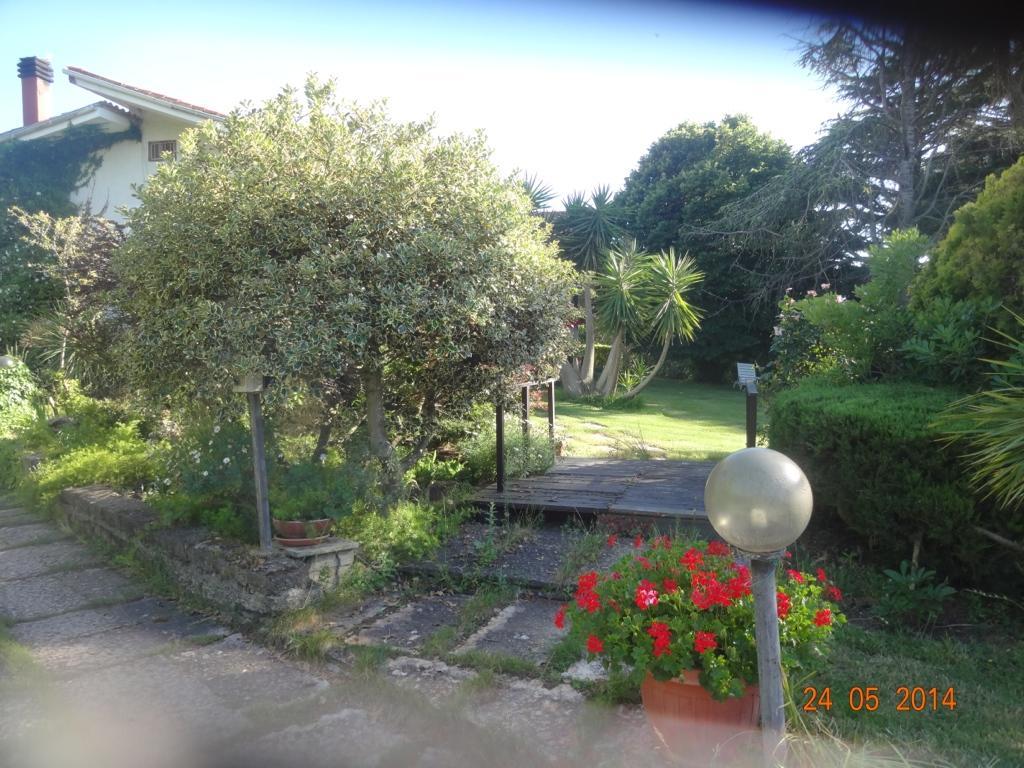 צ'יוויטווקיה B&B Villa Sans Souci מראה חיצוני תמונה